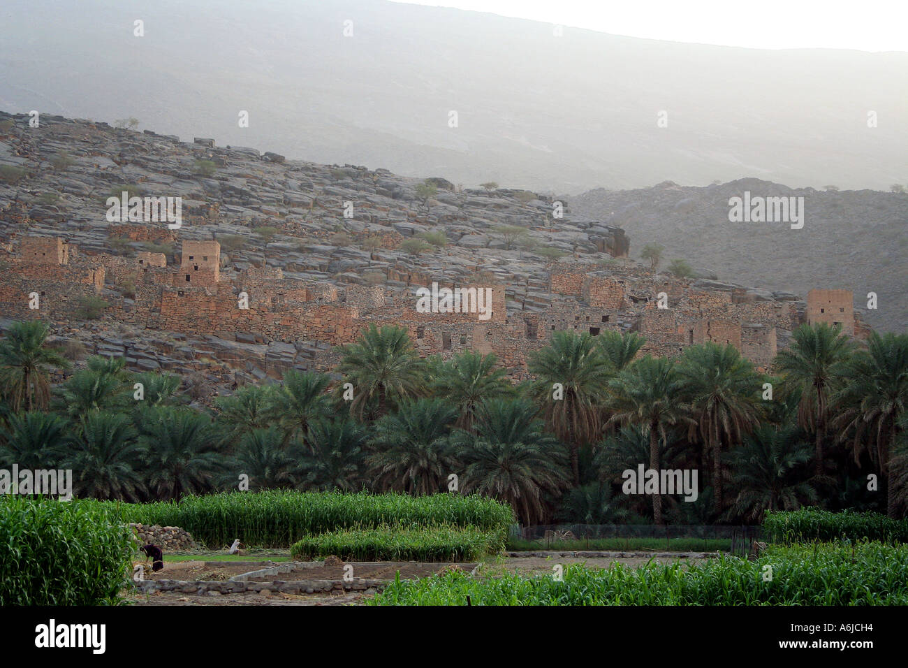 Wadi Ghul, deserted town above planted fields, Oman Stock Photo