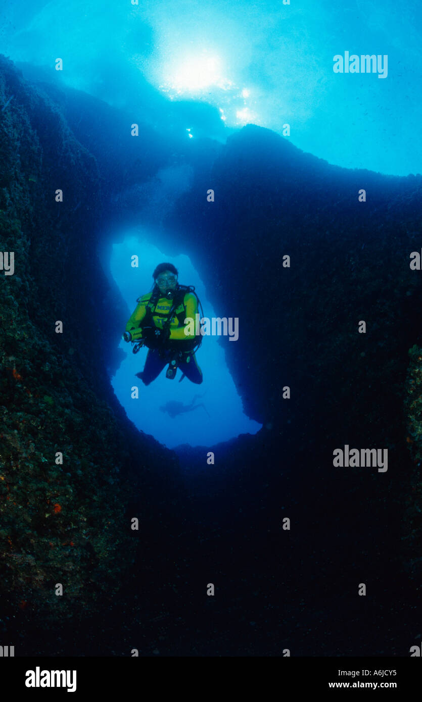 Diving in the north of Primorye. Rudnaya Bay Entry to the bucket. Continuing testing. Fishes Diving in the north of Primorye. Rudnaya Bay Entry to the bucket. Continuing testing. Fishes