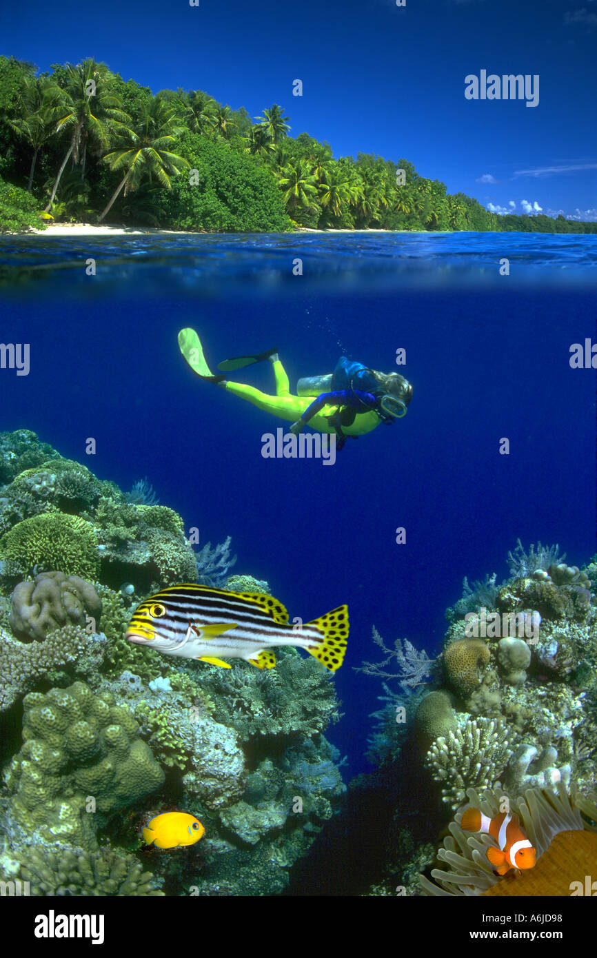 Split reef scene with a diver MR Palau Micronesia  Stock Photo