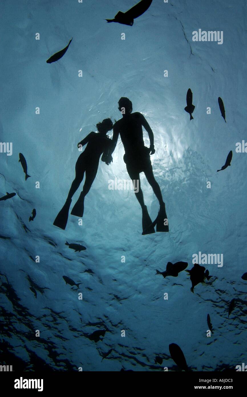 SILHOUETTE OF A COUPLE (MR) SNORKELING. HAWAII Stock Photo Alamy