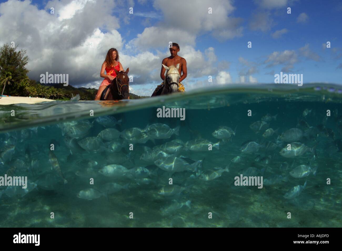 COUPLE MR ON HORSEBACK WITH FISH COOK ISLANDS Stock Photo