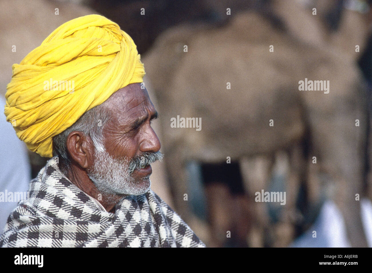 man at the morning fire during Pushkar fair, India, Rajasthan, Pushkar Stock Photo