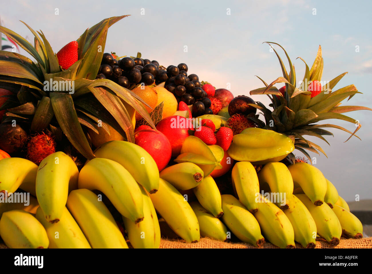 Various fruits Stock Photo