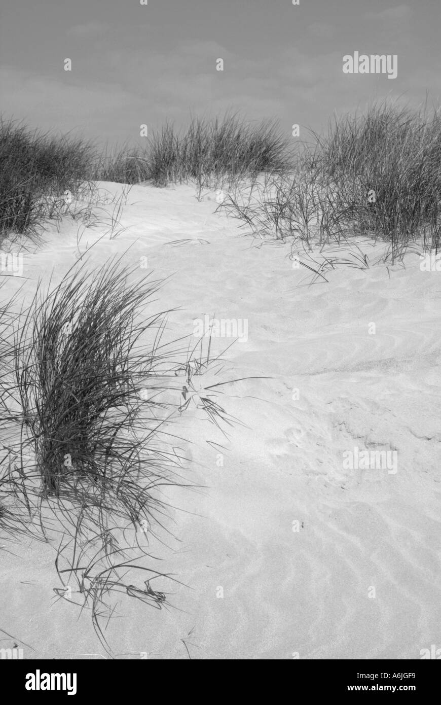 Atlantic sand dunes Black and White Stock Photos & Images - Alamy