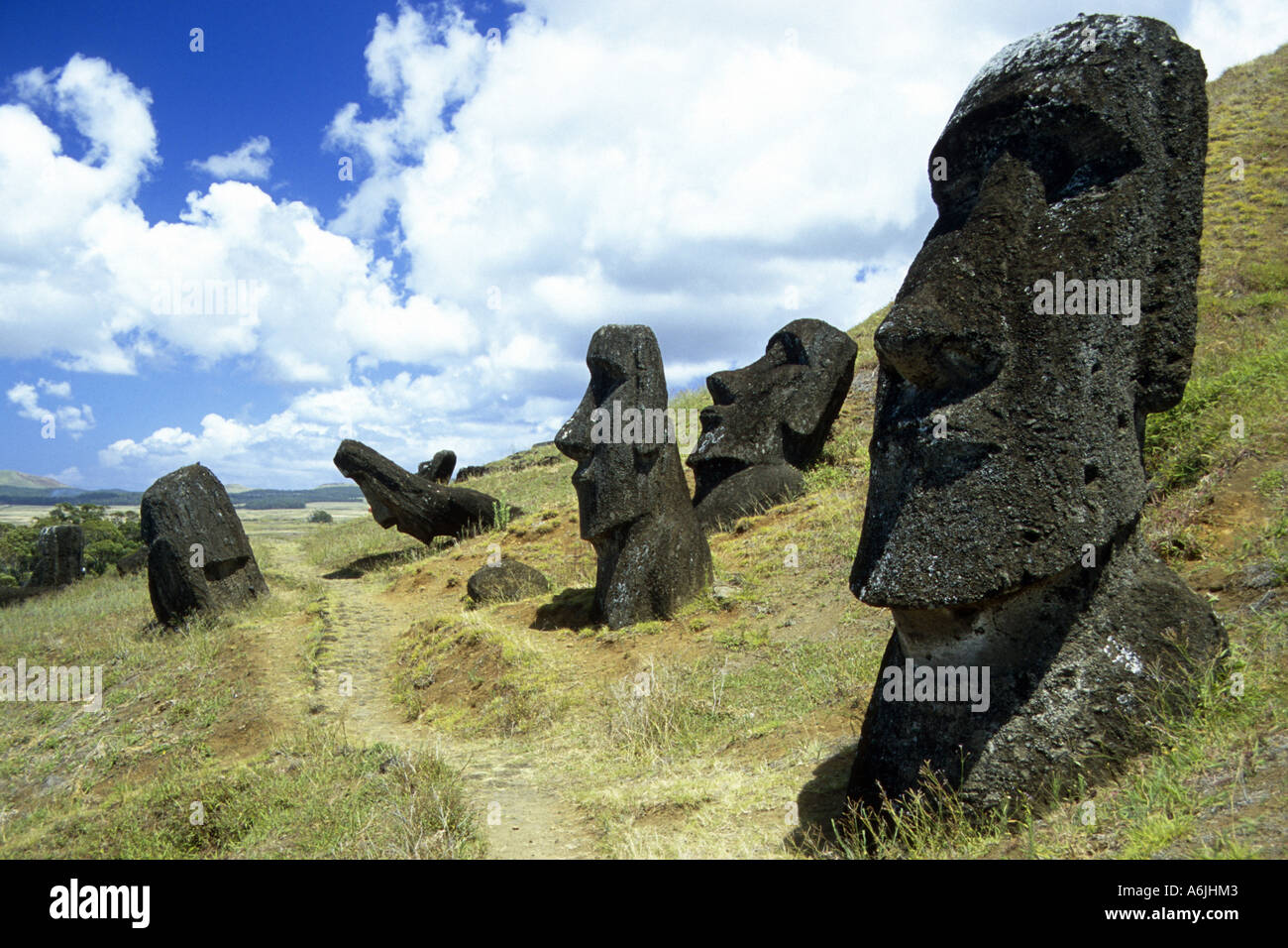 Moais at Rano Raraku, Easter Island Stock Photo