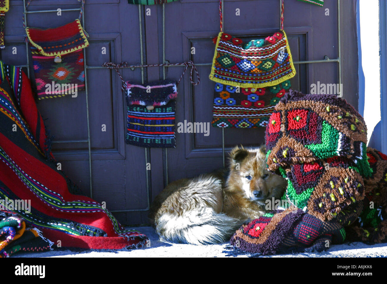 Dog lying amongst the display of typical bulgarian carpets bags and cloths at a street market in Bansko Bulgaria Stock Photo