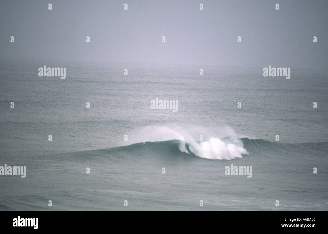 Wave in motion hi-res stock photography and images - Alamy