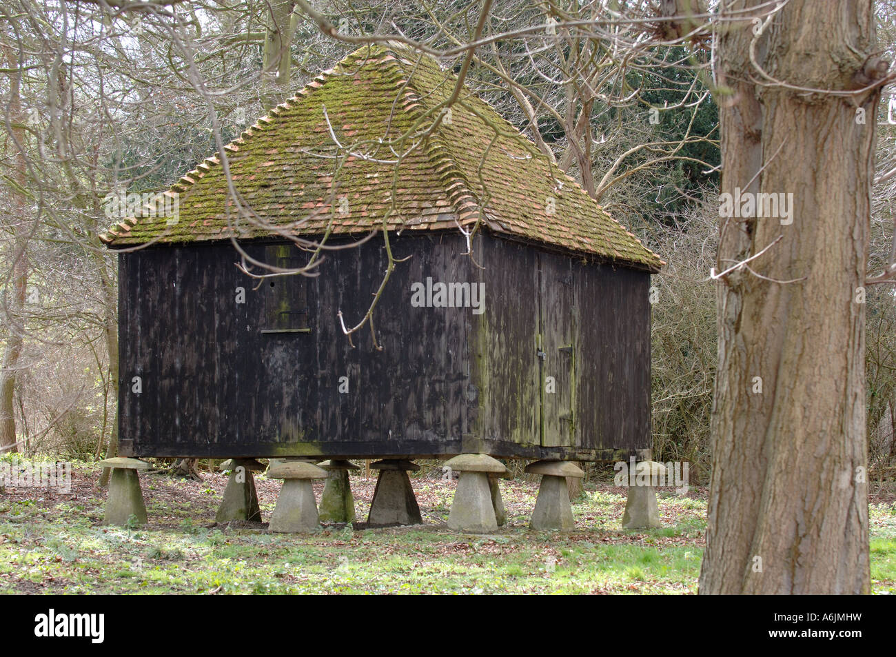 Grain store on mushroom shaped stilts, safe from rats and mice Stock ...