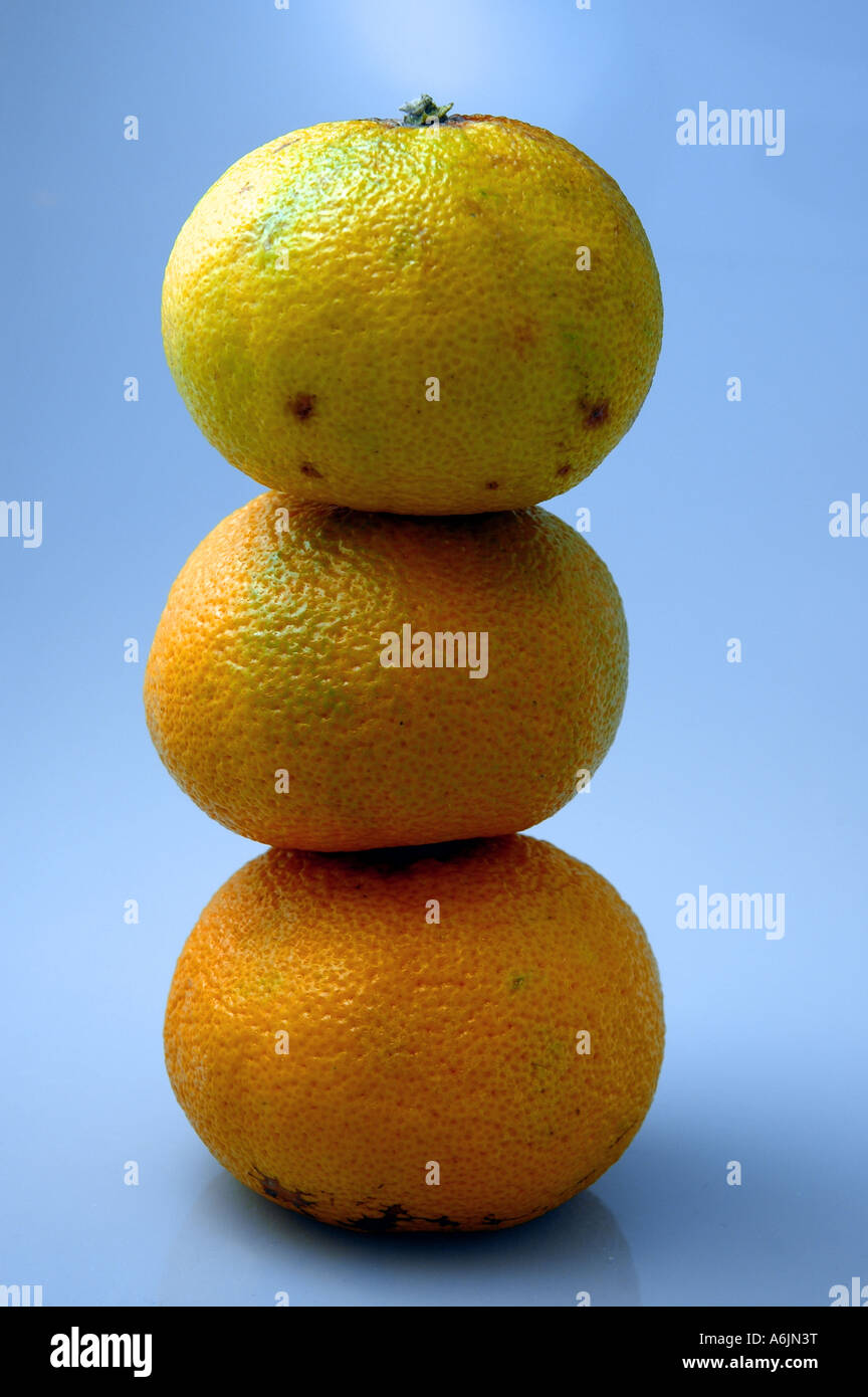 Three imperfect mandarin oranges stacked on top of one another Stock Photo