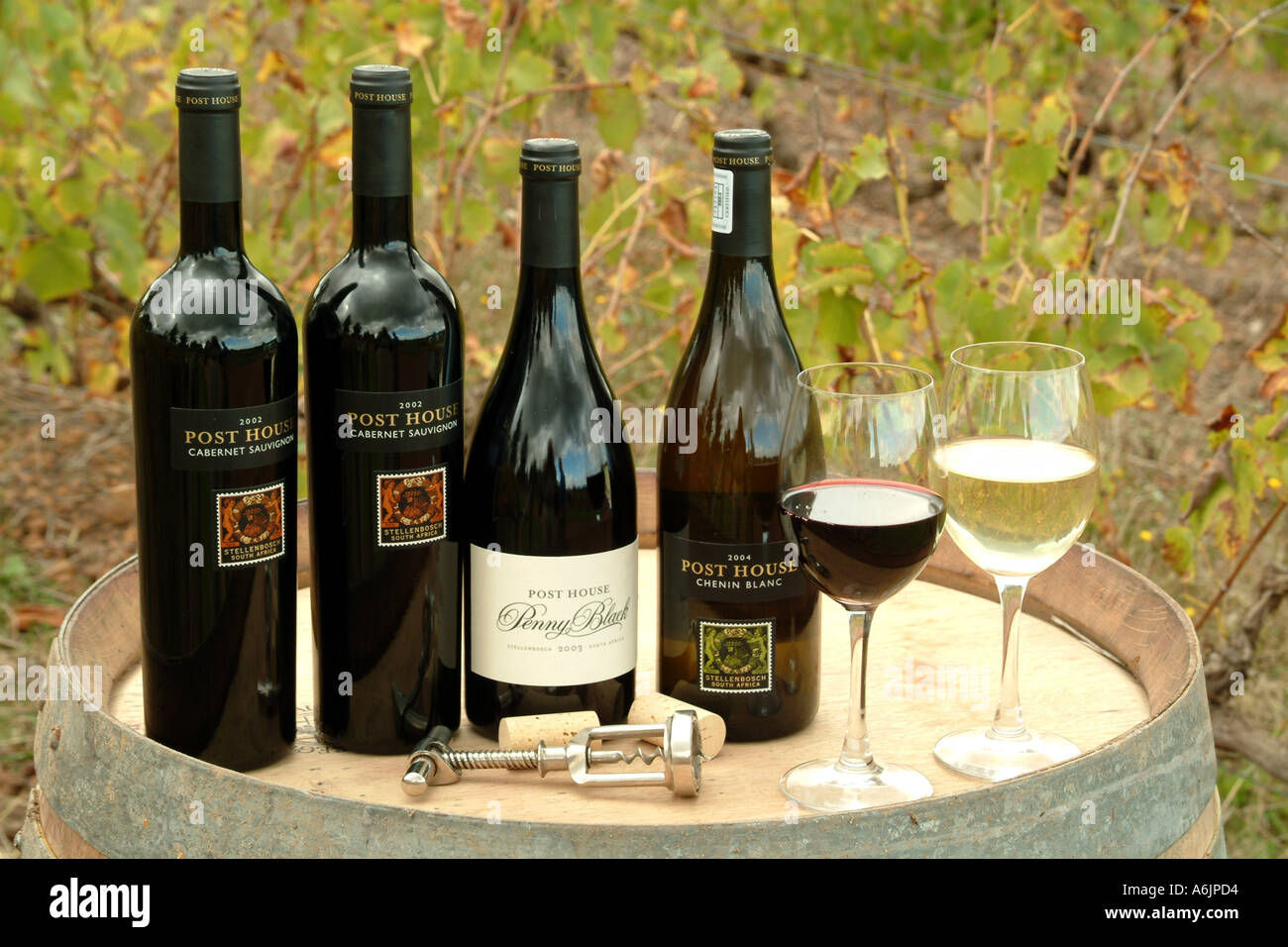 Post House Vineyards Helderberg Nr Stellenbosch Western Cape South Africa RSA Stock Photo Alamy