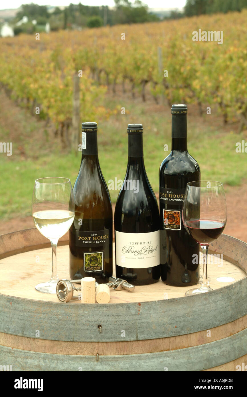 Post House Vineyards Helderberg Nr Stellenbosch Western Cape South Africa RSA Stock Photo Alamy