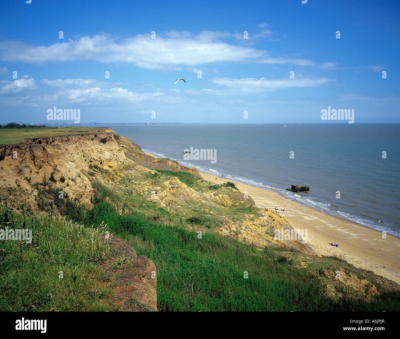 sand and shingle beach below the crumbling cliffs at Walton on the Naze Stock Photo