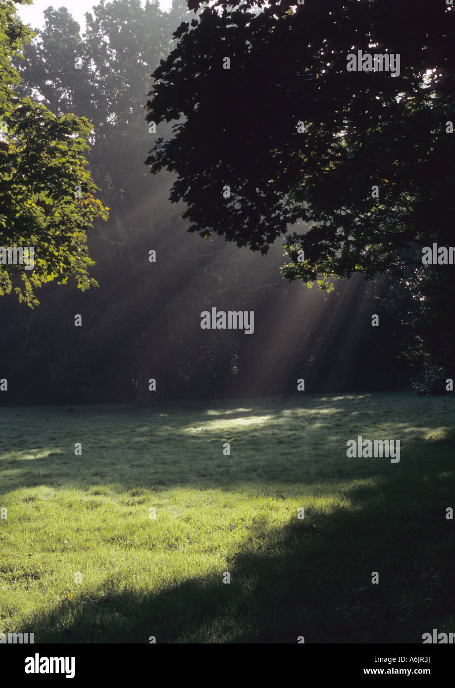 Vertical shaft of light hi-res stock photography and images - Alamy