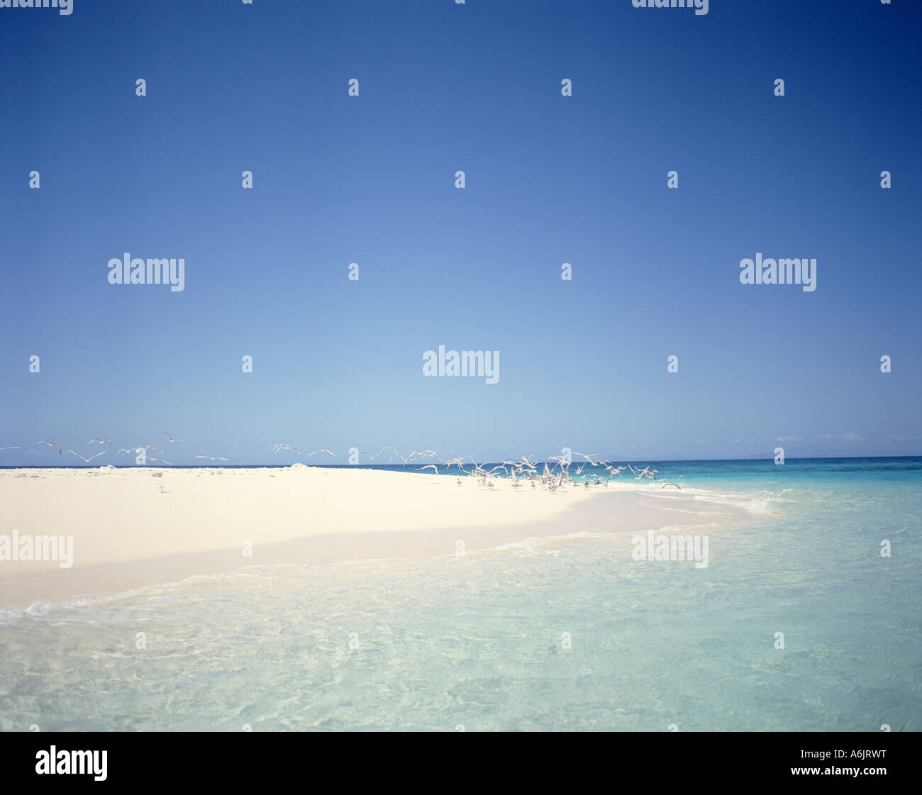 Tropical cay beach, Great Barrier Reef, Queensland, Australia Stock Photo