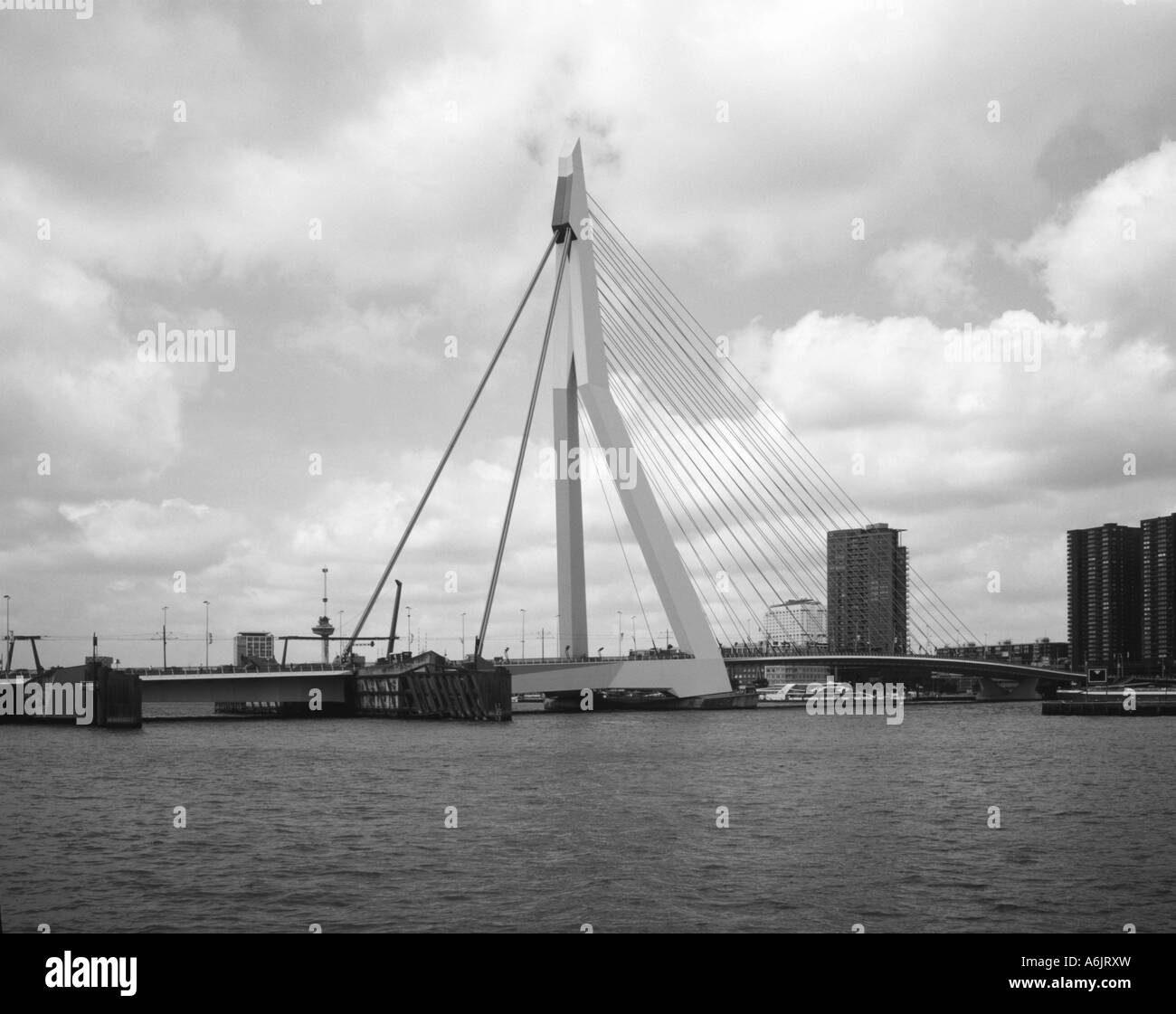 Rotterdam waterfront Black and White Stock Photos & Images Alamy