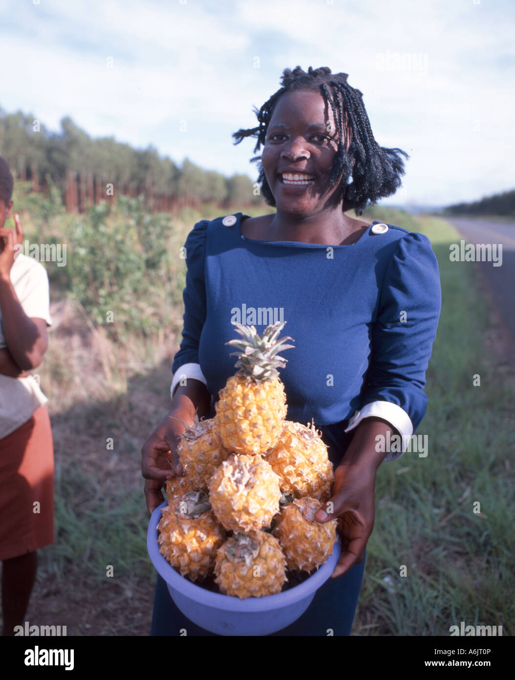 Woman selling pineapples by roadside, Gauteng Province, Republic of South Africa Stock Photo