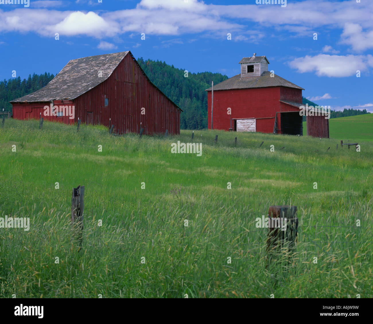Whitman County, WA; A green pasture with red wooden barn and granery Stock Photo