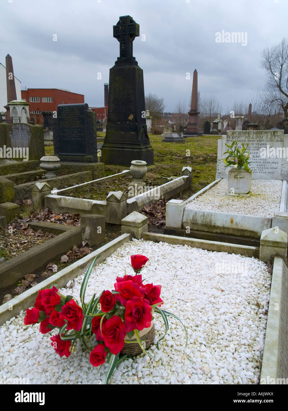 Red roses on a grave in the Mint cemetery Birmingham England Stock