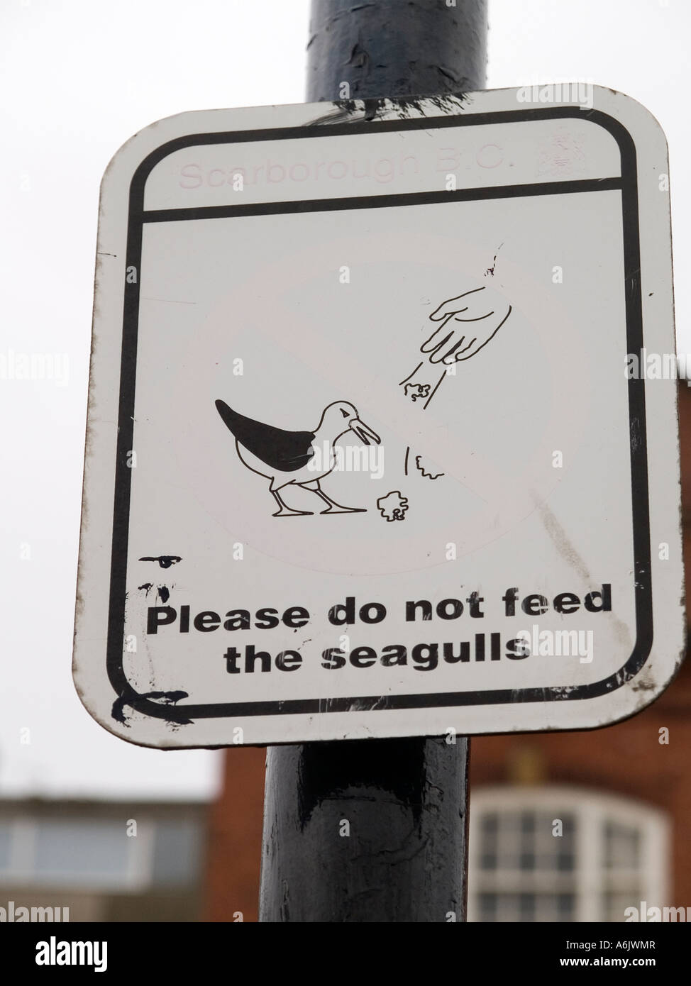 Please do not feed the seagulls sign Stock Photo