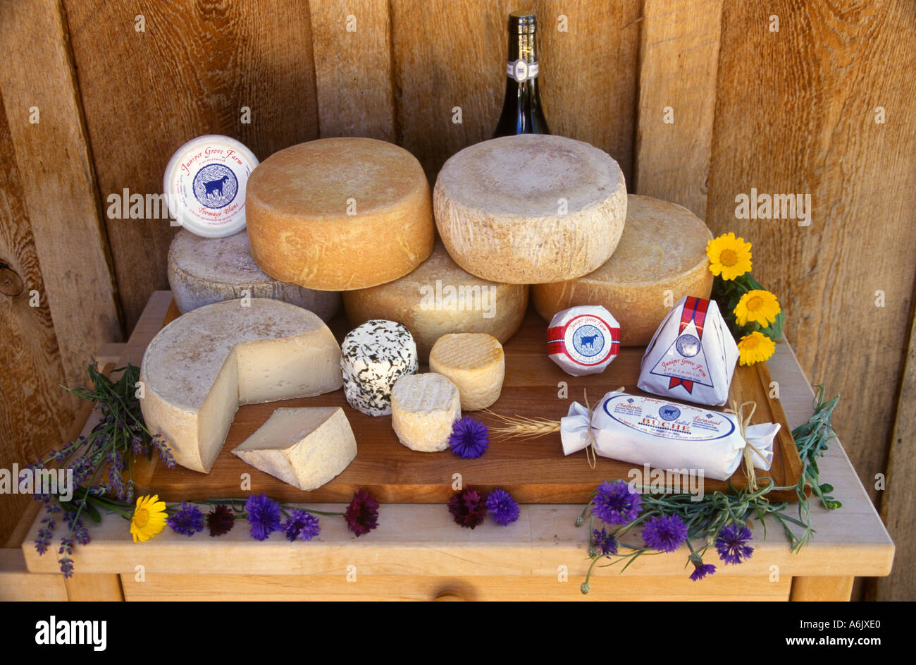 A display of the hand made GOAT CHEESES produced at JUNIPER GROVE FARM REDMOND OREGON Stock Photo