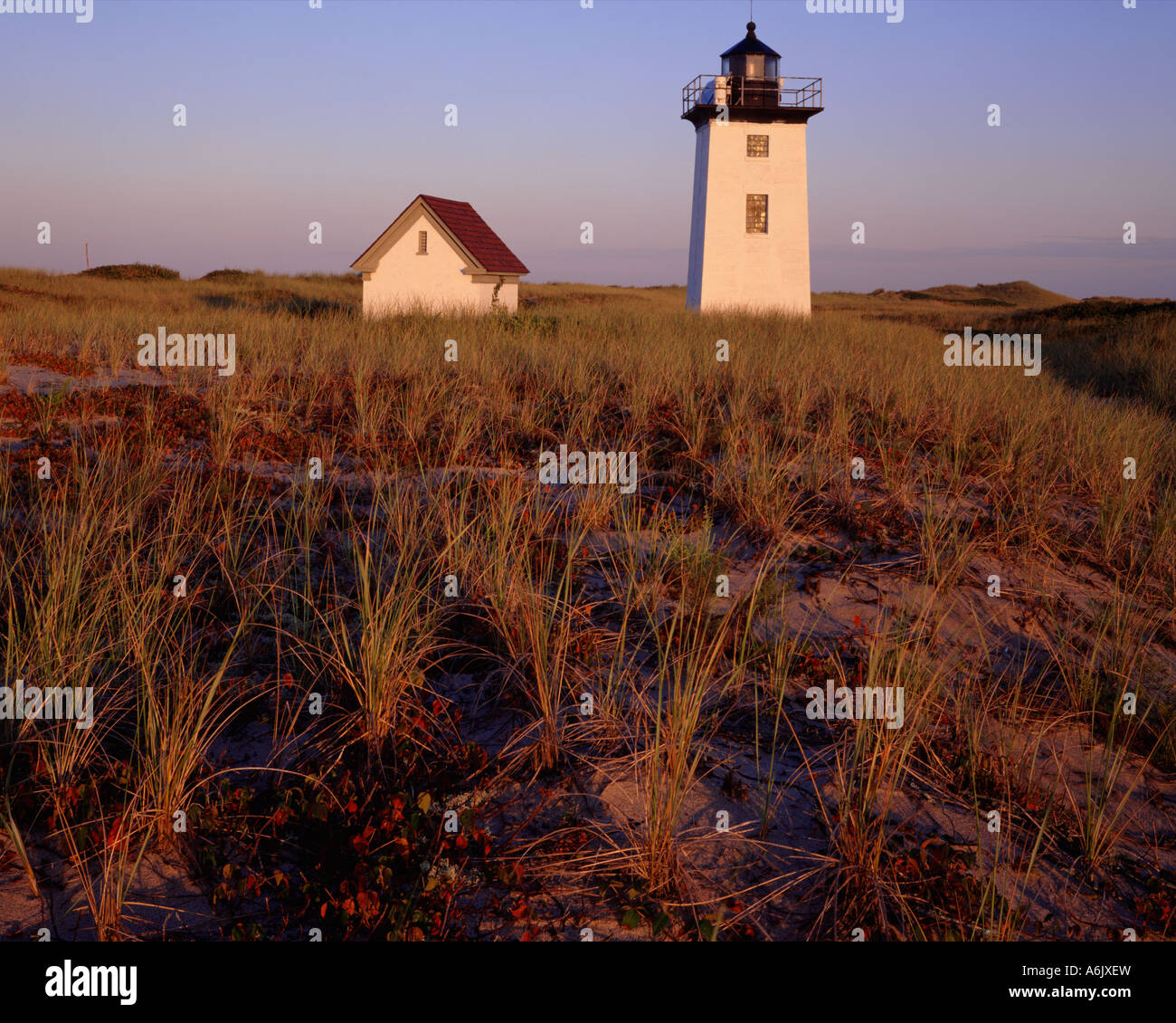 Cape Cod National Seashore MA Wood End Light with dune grasses illuminated by the colors of predawn light Stock Photo