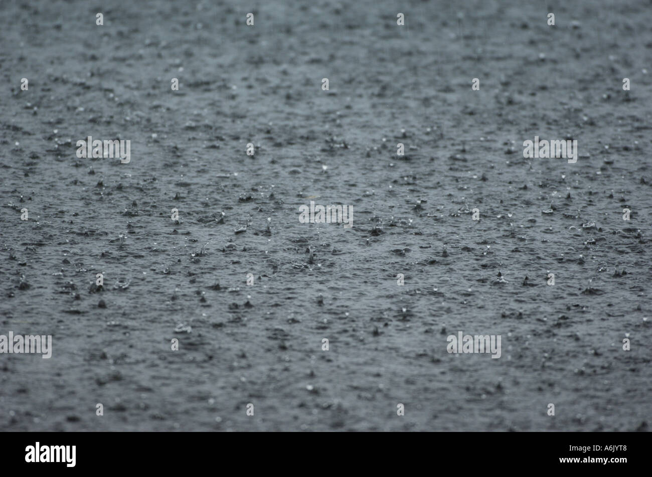 raindrops falling on lake Stock Photo - Alamy