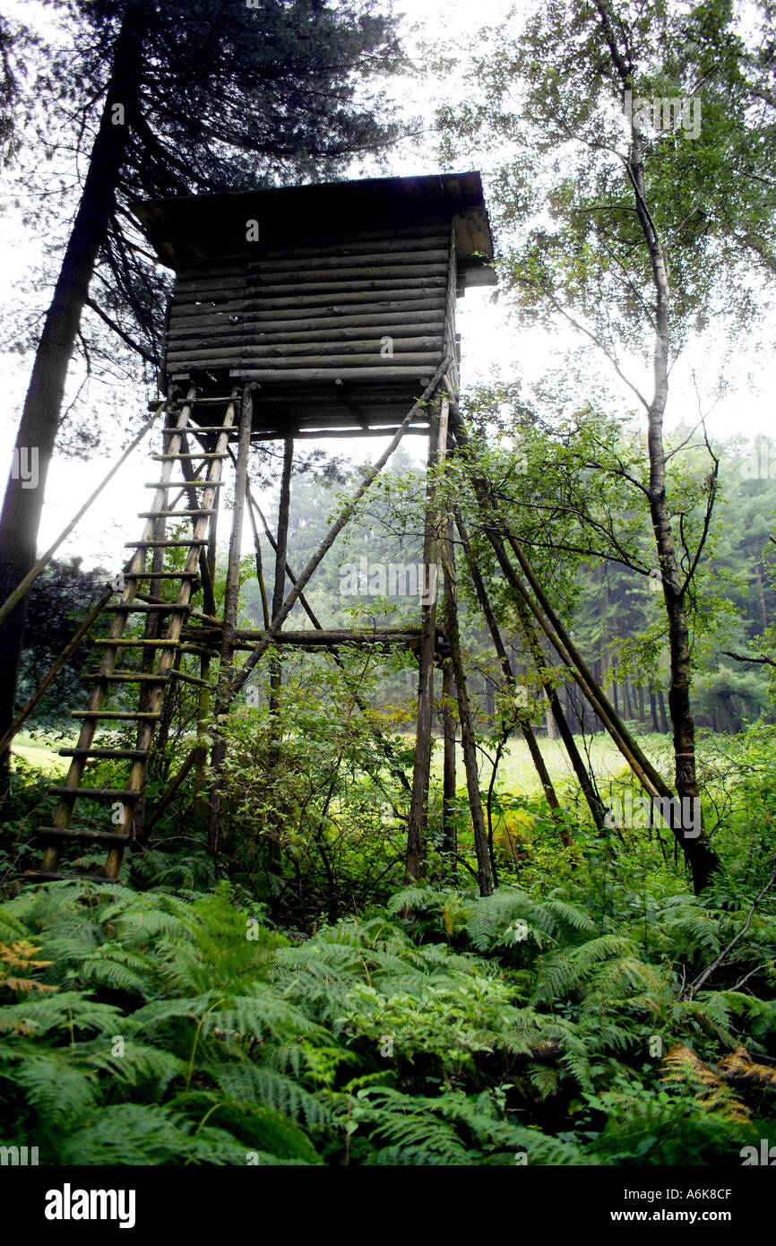 high seat in german forest Stock Photo Alamy