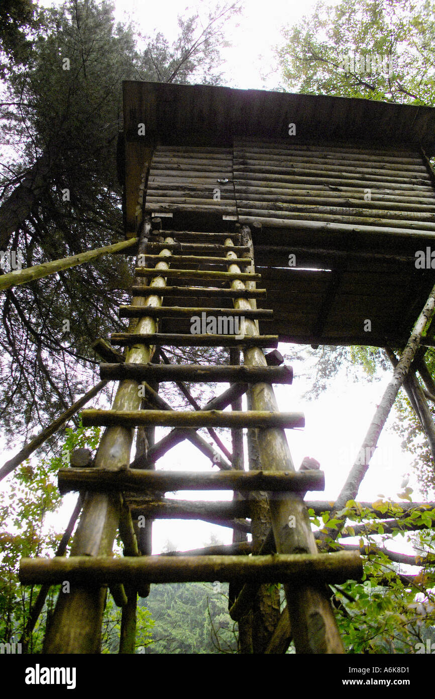 high seat in german forest Stock Photo Alamy