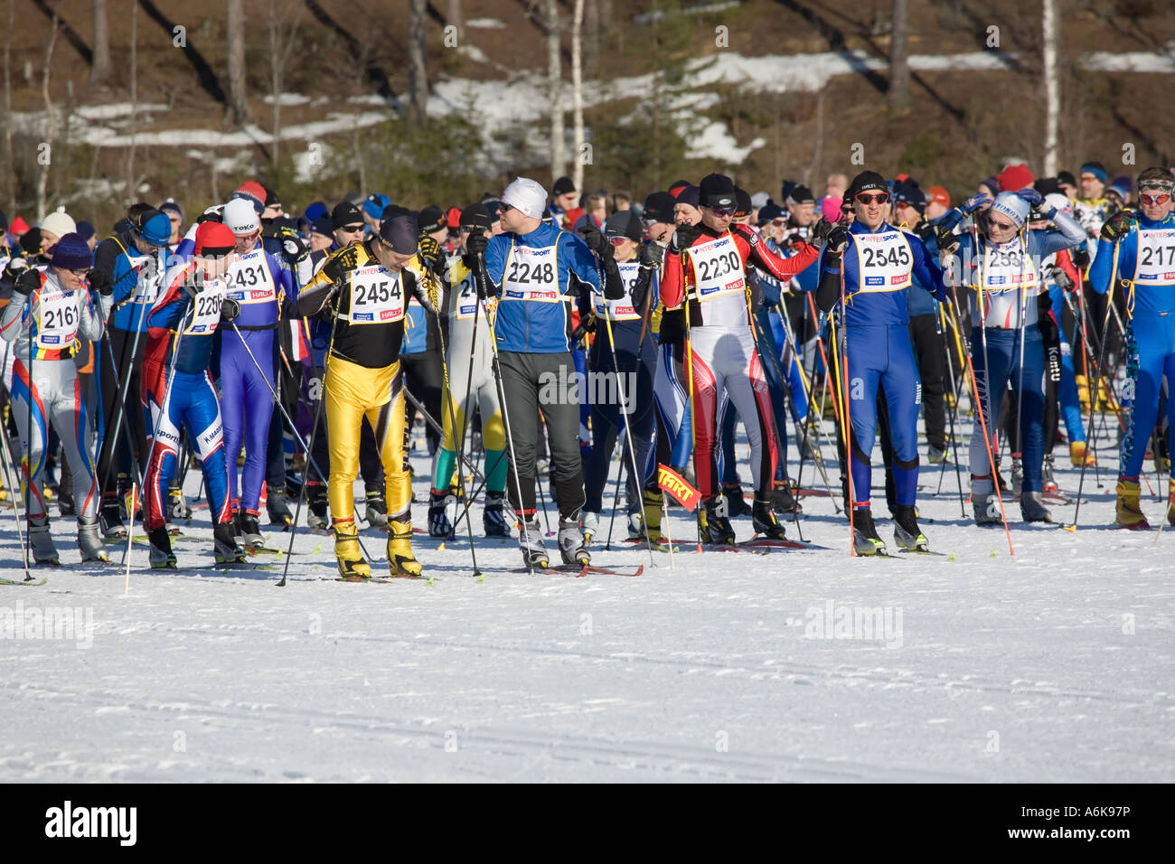 cross country skiing competition, Vuokatti Sotkamo Finland Stock Photo