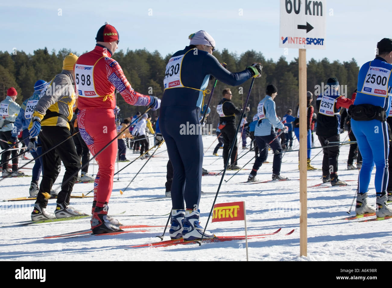 cross country skiing competition, Vuokatti Sotkamo Finland Stock Photo