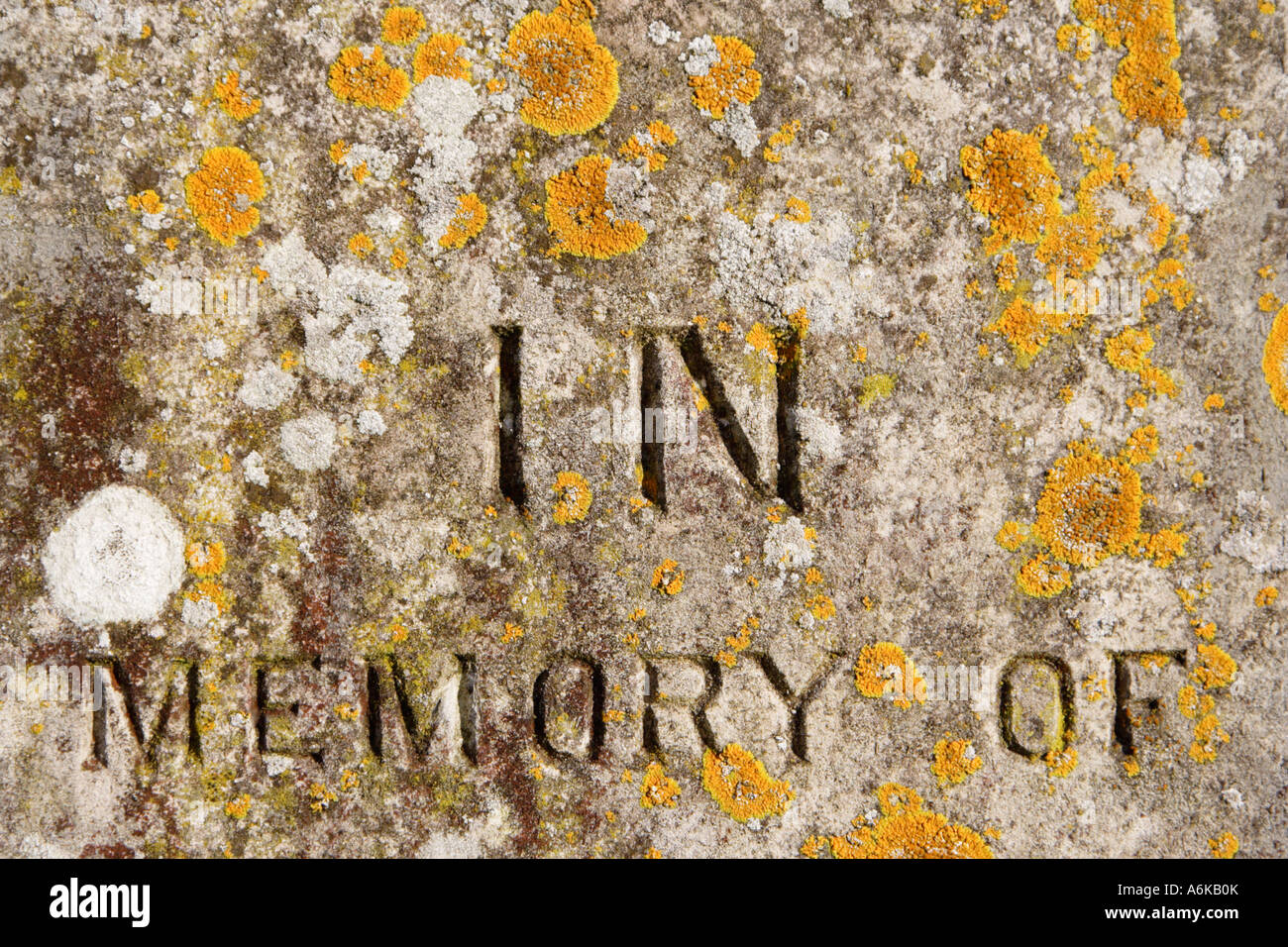 in memory of inscription carved into stone Stock Photo - Alamy