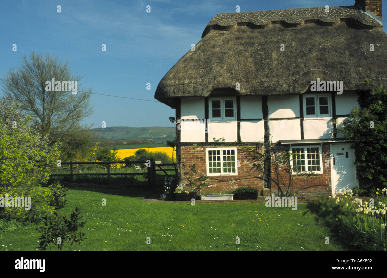 Thatched and Timbered Cottage Alciston Village East Sussex England Stock Photo Alamy