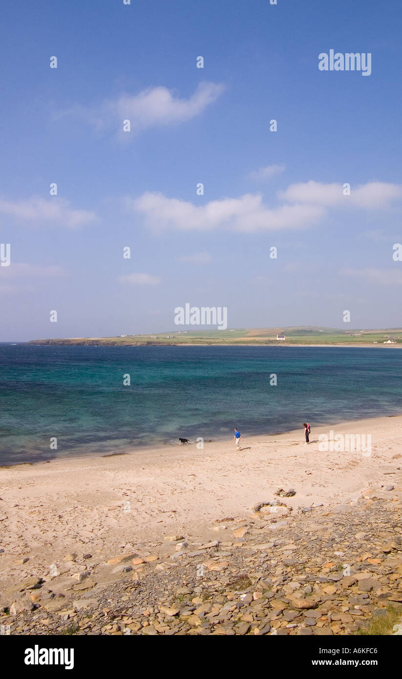 dh Bay of Skaill SANDWICK ORKNEY Family couple walking with dog sunny day blue skies sandy beach scotland pet stroll walk Stock Photo