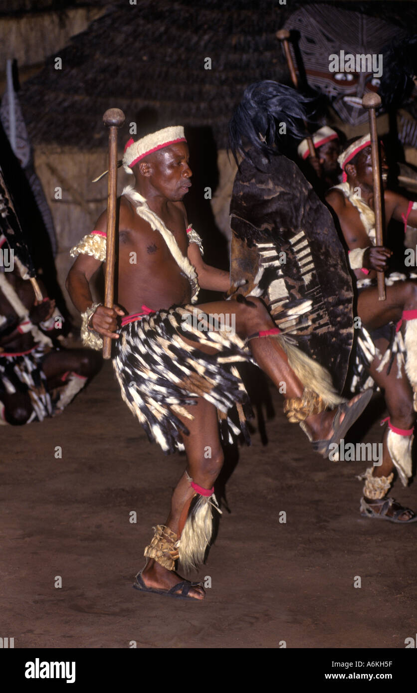 An NDEBELE TRIBAL DANCER displays his fierceness uses animal skins in his costume ZIMBABWE Stock Photo