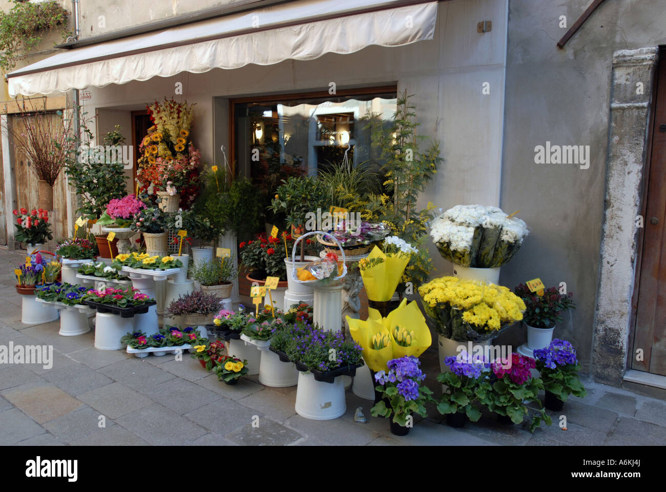 Flower Shop Venice Stock Photo Alamy