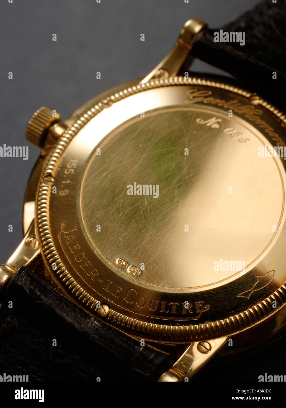 Golden Luxury Watch rear view Stock Photo