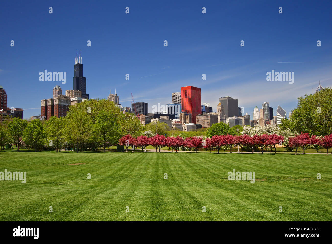 Chicago Skyline as viewed from Grant Park Stock Photo - Alamy