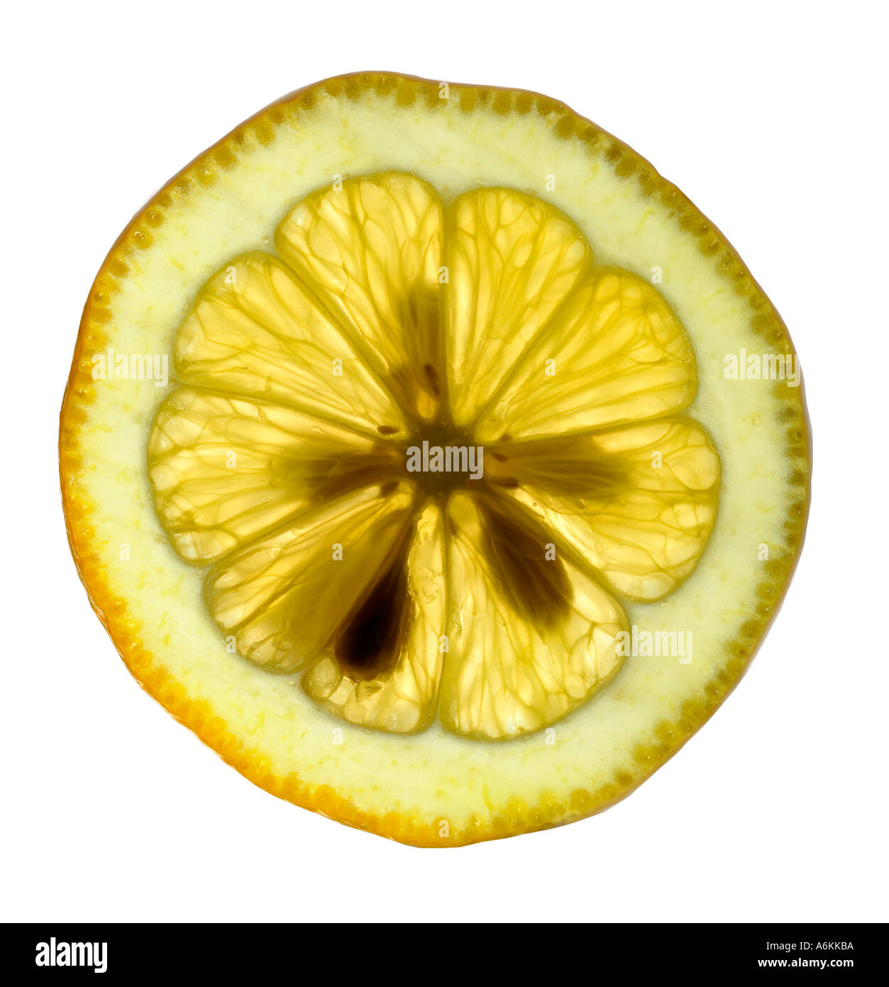 Single slice of lemon (close-up) Stock Photo