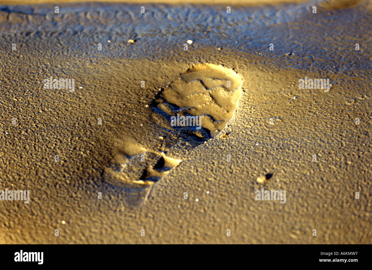 Quicksand Is Dangerous Stock Photos & Quicksand Is Dangerous Stock