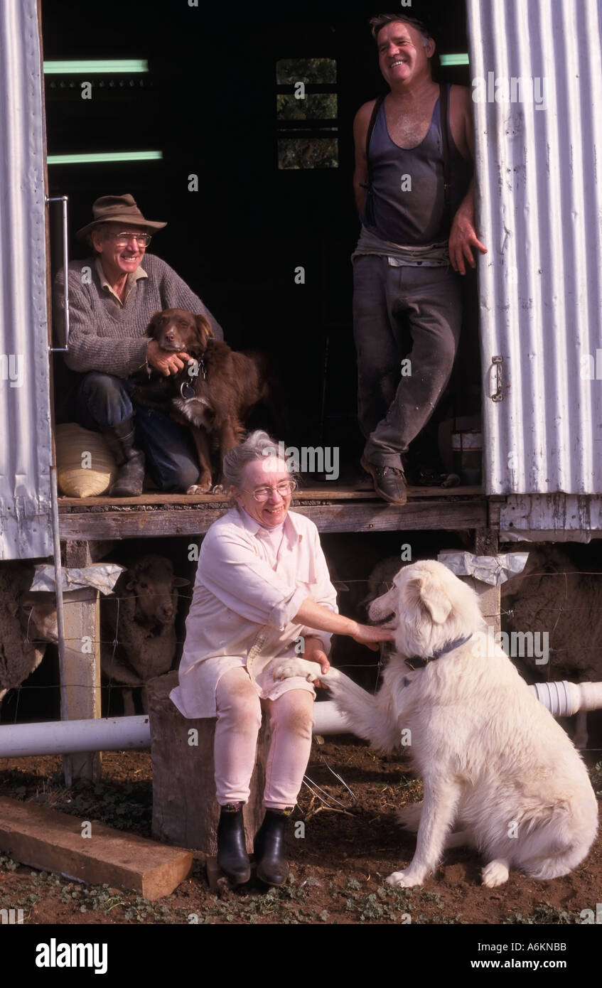 Workers and dogs outside shearing shed Corowa New South Wales Australia