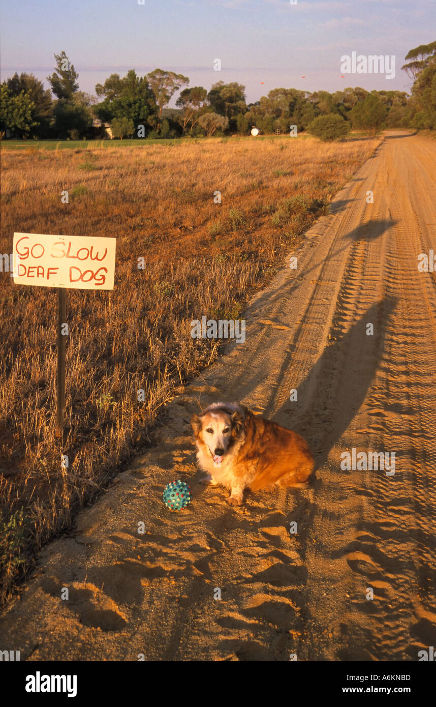 Old south road australia hi-res stock photography and images - Alamy
