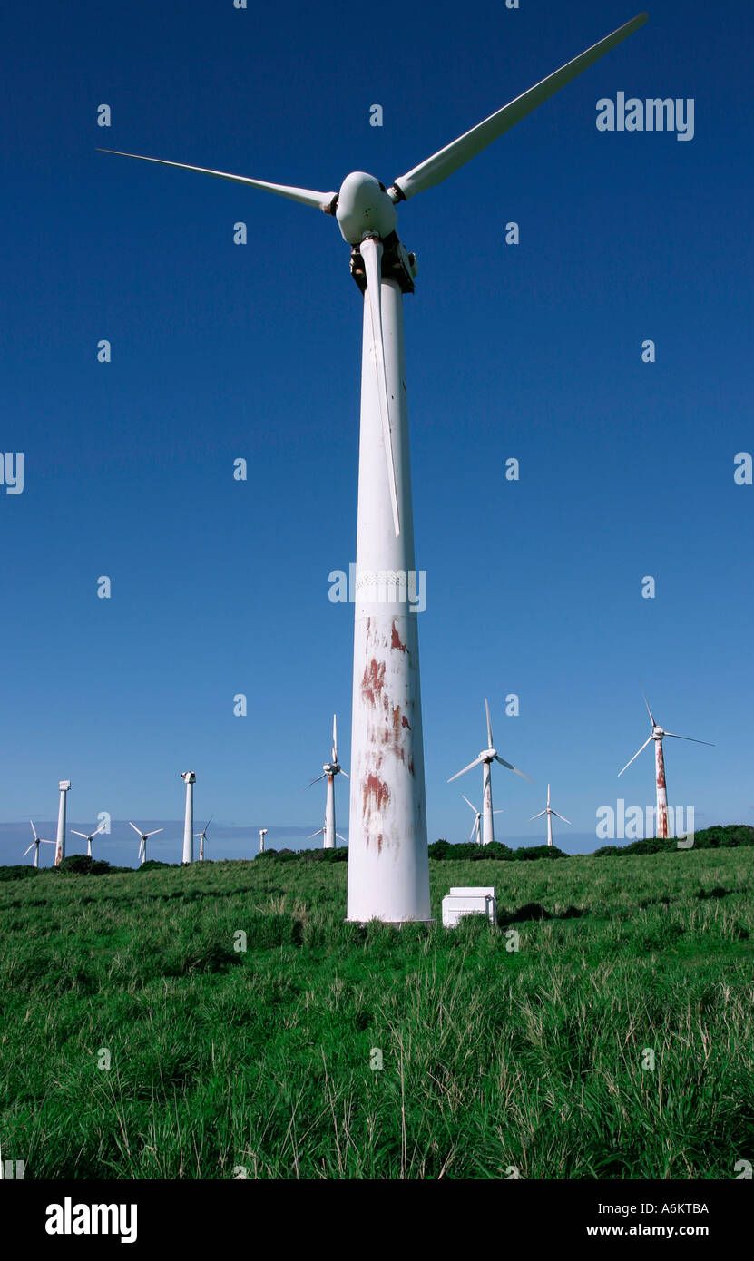 Single windmill hi-res stock photography and images - Alamy