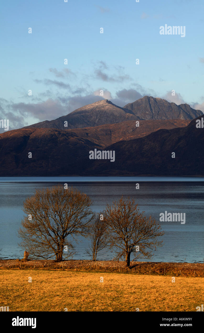 Winter decidious trees in the foreground on the banks of Loch Linnhe, Lochaber, Scotland Stock Photo