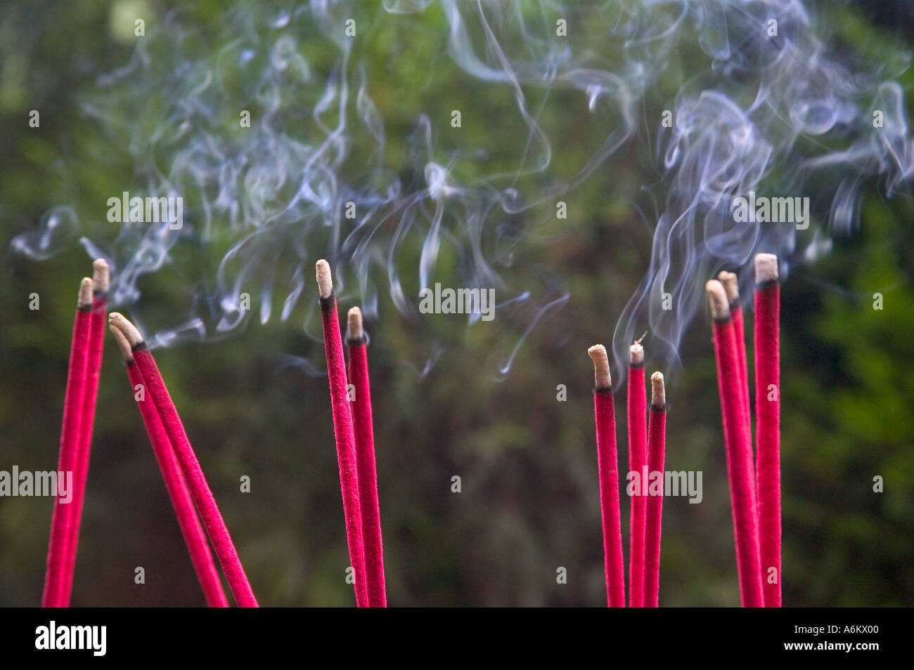 Incense burning in the temple China Stock Photo Alamy
