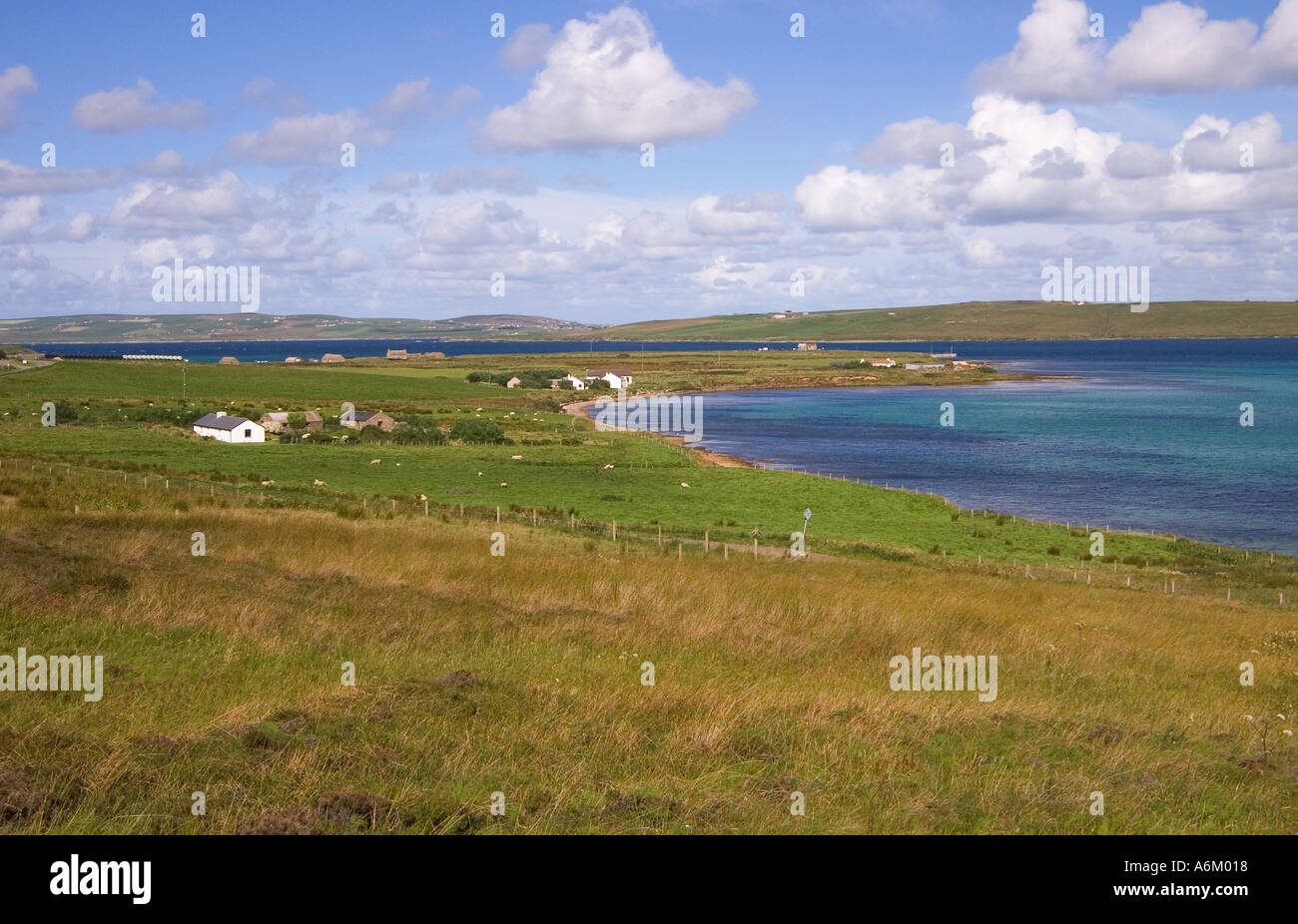 dh Bay of Quoys HOY ORKNEY Grassy fields houses Burra Sound and Graemsay island remote getaway country scene far away scapa flow croft Stock Photo