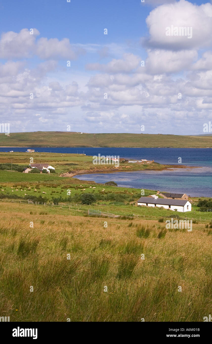 dh Remote cottages HOY ORKNEY Grassy fields spike rush sedge houses scotland cottage coast uk get away isolation faraway country Stock Photo