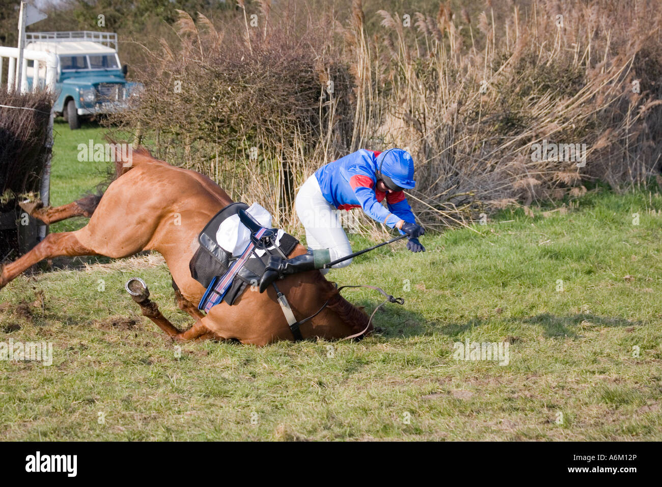 Jockey about to fall as horse fails to clear jump at Alpraham Cheshire