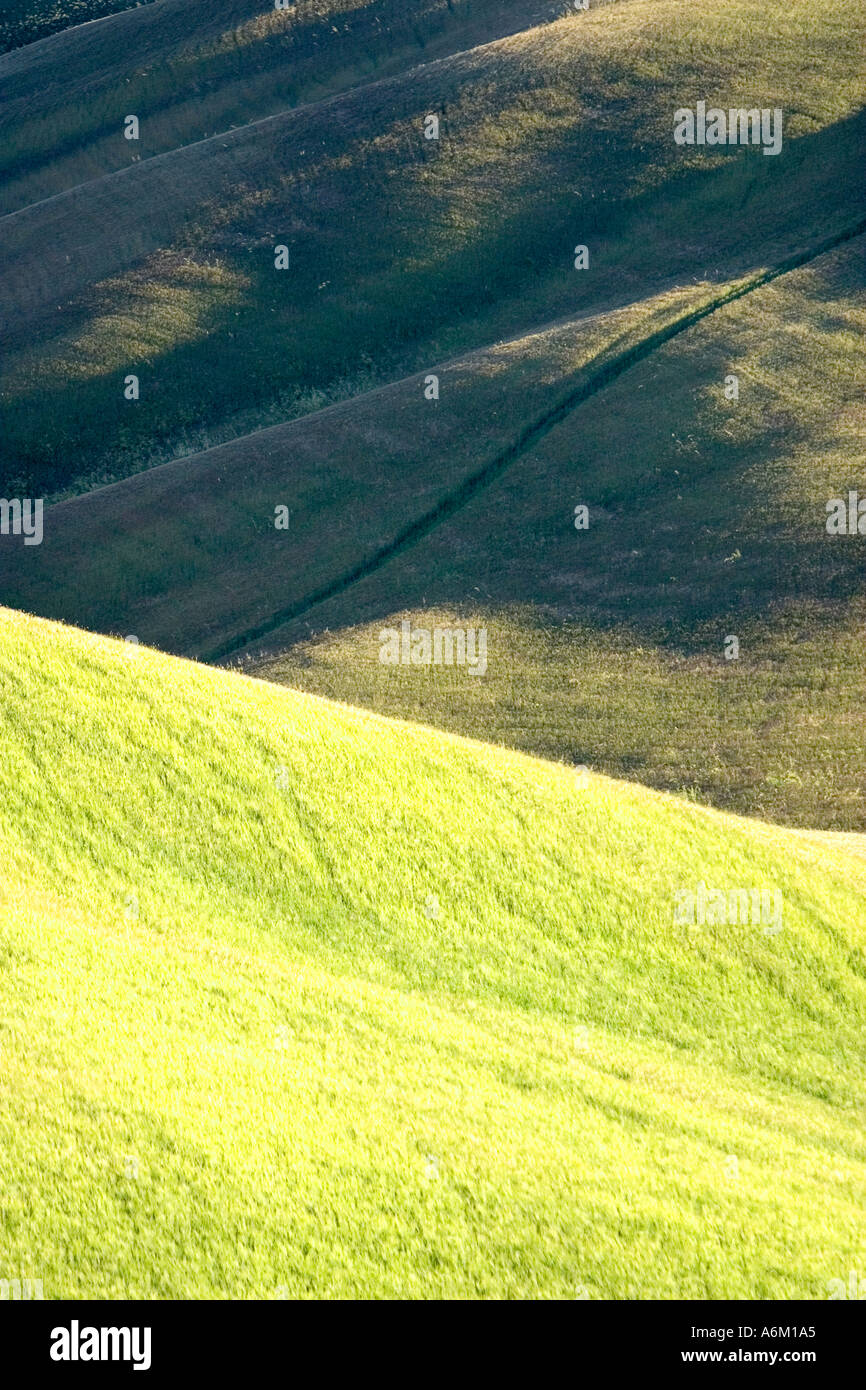 Rolling hills in yellow hi-res stock photography and images - Alamy
