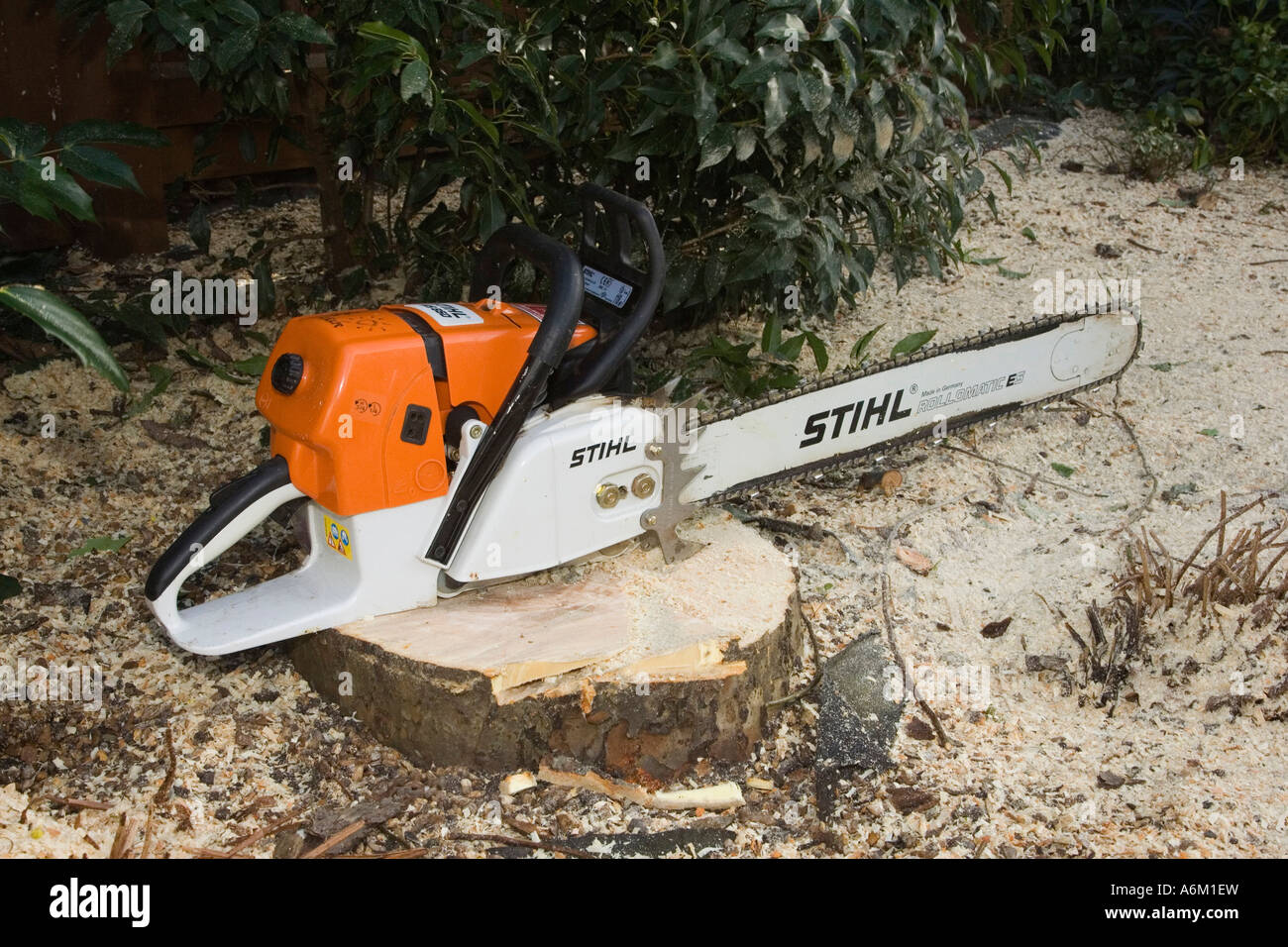 chainsaw on treestump Stock Photo