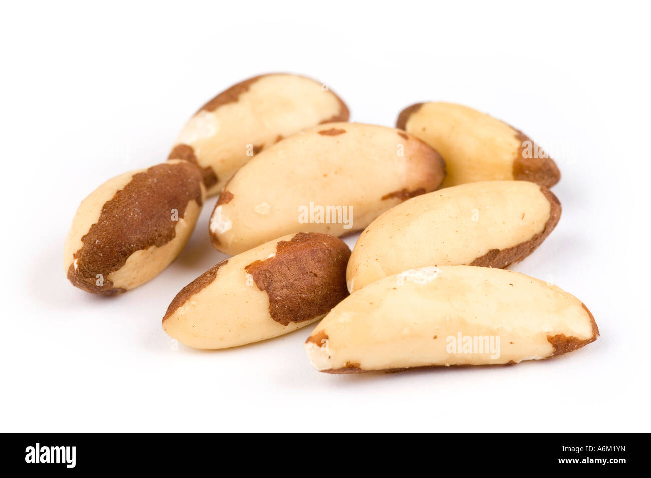 shelled Brazil nuts Stock Photo Alamy shelled Brazil nuts Stock Photo Alamy